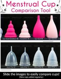 55 Best Menstrual Cups Images Menstrual Cup Menstral Cup