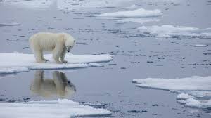 Why Is Ice Slippery? | Science Questions With Surprising Answers