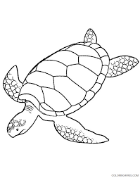 Cut out one of each type of shape (head, tail, shell, two front legs, and two back legs), remembering where each letter was. Sea Turtle Coloring Pages Printable Coloring4free Coloring4free Com