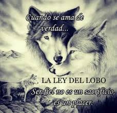 Pin En Frases