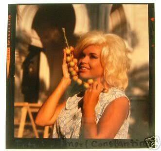 Jayne Mansfield candid colr transparency 65 Dog Eat Dog | #24052756