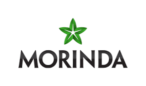Image result for Morinda