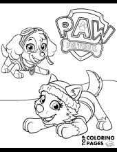 You can find here 4 free printable coloring pages of paw patrol character skye. Paw Patrol Coloring Pages For Free Topcoloringpages Net