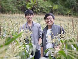 Organic farming is gaining popularity in malaysia today, partly due to the effect of cetdems organic farm which operated for some 10 years at sungai buloh, near kuala lumpur (cetdem started its farm in mid september 1986 in subang new village).what began as a. Who Are The Cameron Highlands Farmers Supplying Ethical Organic Produce To Singapore