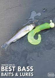 6 Best Bass Baits And Lures For Summer Bass Bait Best Bass Bait Walleye Fishing