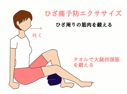 年齢とともにひざ痛というのは出てきて ひざ痛のほとんどの人が変形性膝関節症という症状です 年齢によるひざの痛みは 膝の潤滑油とされる軟骨が減ることで起きてしまいます 骨盤底筋 膝 ストレッチ ステップエクササイズ