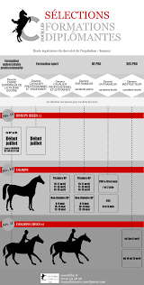 Cette journée sous le signe du partage, de la bonne humeur, de l'amour du cheval se déroulera comme suit : Ecole Superieure Du Cheval Et De L Equitation Quotidien Et Horizons Professionnels Des Stagiaires