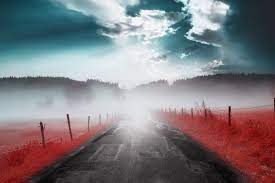 This Lens Filter Faithfully Recreates The Look Of Kodak Aerochrome Ir Film Infrared Photography Ir Photography Kodak