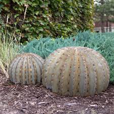 Barrel cactus & senecio mandraliscae blue chalk stick succulents, huntington library desert garden, in afternoon after and. Golden Barrel Cactus Metal Landscape Art Desert Steel