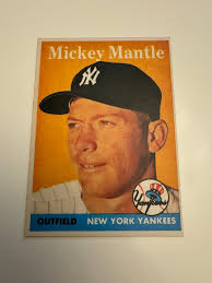 Little people wicked set