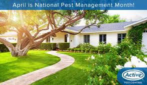 Pest control pell city al. 25 Best Pest Control Service Near Phenix City Alabama Facebook Last Updated Apr 2021