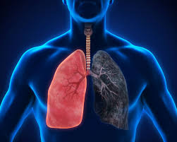 Let us see briefly regarding what are the primary causes, signs, and symptoms of lung cancer, medical diagnosis, and also about the treatment process. Lung Cancer Diagnosis Portland Cancerous Tumors Oregon City