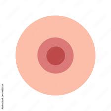 A simple nipple on a white background. Women's breasts. Hand-drawn cartoon,  flat design, minimalistic. Stock Vector | Adobe Stock