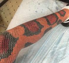 An artsy tattoo of a coiled snake. Snake Leg Tattoo Atbge