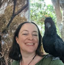 Where do items in Merge Dragons come from?