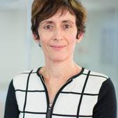 Biophilic urbanism: how rooftop gardening soothes souls