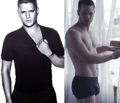 Wentworth Miller Boyfriend Google Search Wentworth Miller