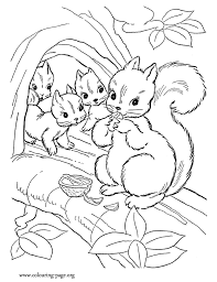 Coloring pages are fun for children of all ages and are a great educational tool that helps children develop fine some tips for printing these coloring pages: Coloring Pages Of Squirrels Coloring Home