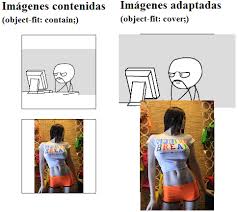 The replaced image will completely fill the box heedless of its aspect ratio. Css 3 Object Fit Cover Y Contain