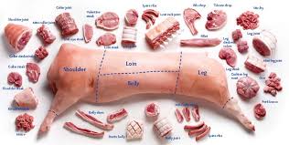 Image result for pork butcher diagram free