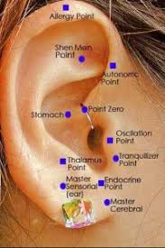 Check spelling or type a new query. Could I Lose Weight By Getting My Ear Stapled Howstuffworks