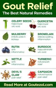 Understanding Reactive Arthritis Gout Remedies Natural Remedies For Arthritis Natural Remedies For Gout