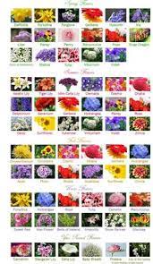 There are over 400,000 types of flowering plants, so there is sure to the gerbera was discovered in 1884 in south africa then it was brought to england, where breeders grew a variety of. Flower Names