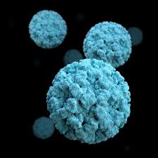 Një diagnostikim i hershëm i kësaj sëmundje ndikon në suksesin e trajtimit duke rritur shanset e mbijetesës. Hpv Nachweis Positive Testung Auf Ein Humanes Papillomavirus Frauenpraxis Augsburg