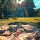 Church Picnic in the Park