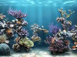 Anipet aquarium livewallpaper lets you select 15 of 180 fish species to grow. Jaylena 2007 S Animated Gif Aquarium Backgrounds Fish Wallpaper Free Wallpaper For Computer