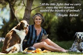 They don't ask for money 5. 6 Classic Celebrities Who Ve Always Advocated For Dogs