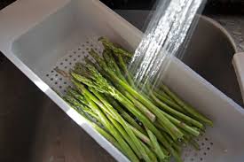 Image result for Asparagus aspergillus