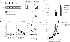 Maybe you would like to learn more about one of these? Gpc1 Specific Car T Cells Eradicate Established Solid Tumor Without Adverse Effects And Synergize With Anti Pd 1 Ab Elife