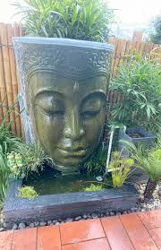 Adding a Bog Filter to a Pond for Water Quality Improvement