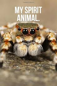Check out our jumping spider selection for the very best in unique or custom, handmade pieces from our insects shops. Buy My Spirit Animal Jumping Spider Journal Book Online At Low Prices In India My Spirit Animal Jumping Spider Journal Reviews Ratings Amazon In