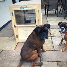 Below we break down the price and shipping speeds for these four carriers when shipping a package to australia. How Much Does It Cost To Ship A Dog Petrelocation
