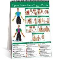 Kent Trigger Point Charts Trigger Point Chart