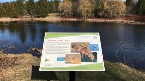 The northwest corner of the Vicki Barron Lakeside Trail at the Island Lake  Conservation Area.