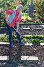 So Saen Sie Eine Grundungung Richtig Aus Grun Gartenboden Garten