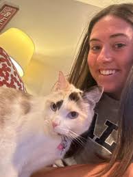 Local dog walker and pet sitter services available