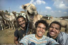 In the real world, camels' humps. Look At That Camels Face Imgur