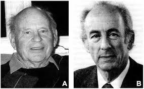 Monoaminergic Neurotransmission: The History of the Discovery of  Antidepressants from 1950s Until Today