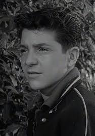 Richard Correll who played Richard Rickover. "Leave It To Beaver" Then and  Now