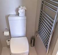 Flush toilet - Wikipedia