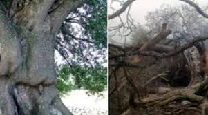 Lo scenario è da tregenda: 3ttvxjtmpgou9m