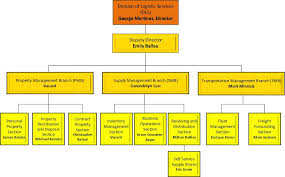 Dls Organization Structure Olao