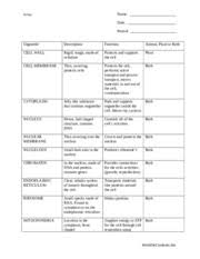 Cell Organelles Table Biology Name Function Animal Plant