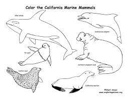California Marine Mammals Coloring Mammals Marine Mammals Sea Mammal