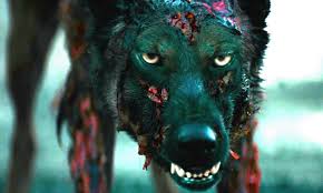 They find a map to a buried treasure that theives are after. Both The Pack And Cabin Fever Are Coming To Home Video This July Bloody Disgusting