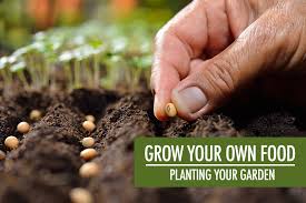 Maybe you would like to learn more about one of these? Grow Your Own Food Planting Your Garden Food Bloggers Of Canada